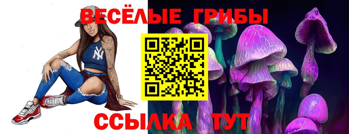 Армавир  Псилоцибиновые грибы Cubensis  Вход с VPN 